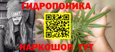 стафф Ликино-Дулёво