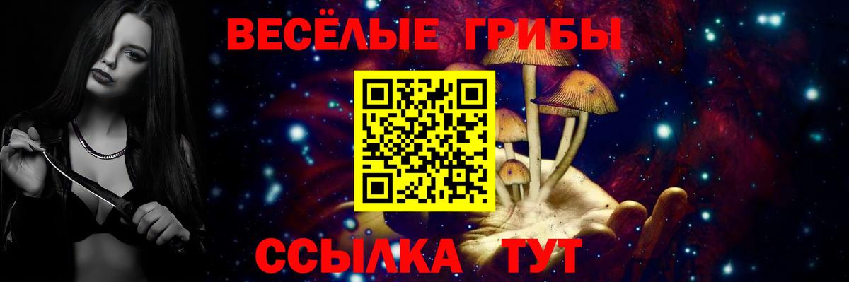 Знаменск  Псилоцибиновые грибы Psilocybine cubensis  Вход с VPN 