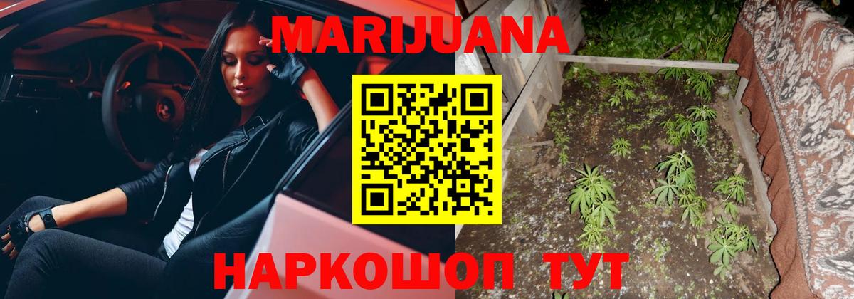 Знаменск  Канабис семена  Шишки марихуана конопля  Вход с VPN  Канабис семена  Шишки марихуана VHQ 